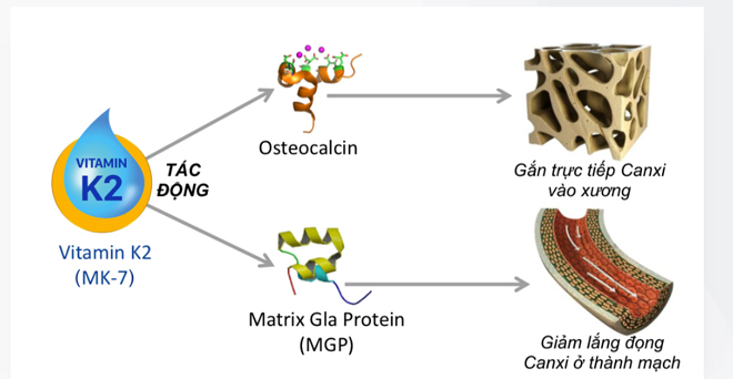 Những màu tóc nhuộm lên ngôi 2019