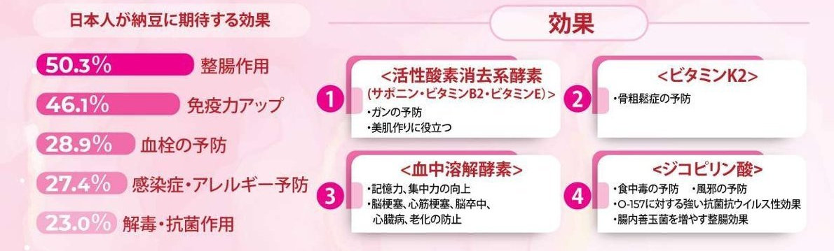 The Nattoについて